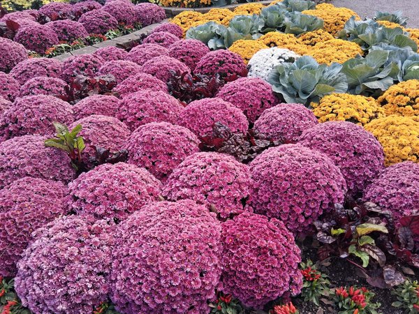 Guide Ultime : Comment Vérifier Efficacement les Antécédents de vos Locataires